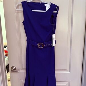 Calvin Klein Women's Royal Blue Midi Dress
